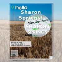 Image for Sharon Springs