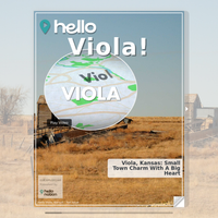 Image for Viola