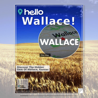 Image for Wallace