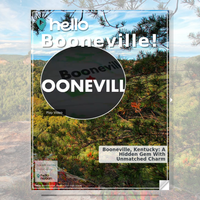 Image for Booneville