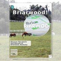 Image for Briarwood