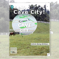 Image for Cave City