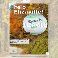 Image for Elizaville