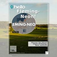 Image for Fleming-Neon