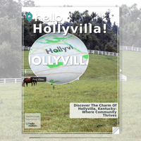 Image for Hollyvilla