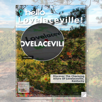 Image for Lovelaceville