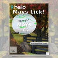 Image for Mays Lick