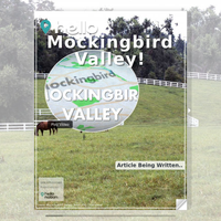 Image for Mockingbird Valley