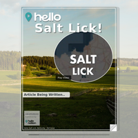 Image for Salt Lick