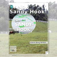 Image for Sandy Hook