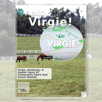 Image for Virgie