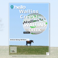 Image for Wallins Creek