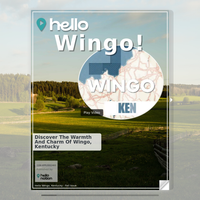 Image for Wingo