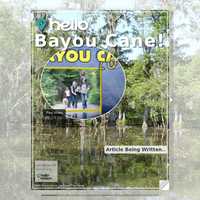 Image for Bayou Cane