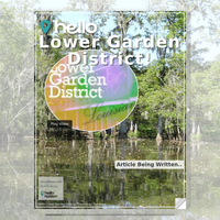 Image for Lower Garden District