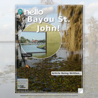 Image for Bayou St. John