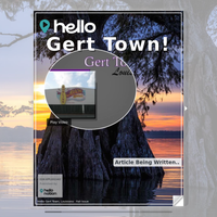 Image for Gert Town