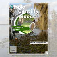 Image for Gentilly Woods