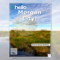 Image for Morgan City