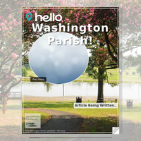 Image for Washington Parish