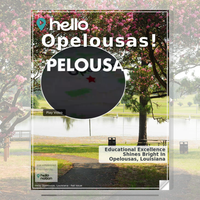 Image for Opelousas