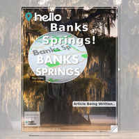 Image for Banks Springs