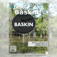 Image for Baskin