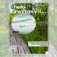 Image for Bawcomville