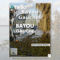 Image for Bayou Gauche