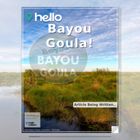 Image for Bayou Goula