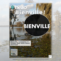 Image for Bienville