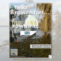 Image for Brownsfield