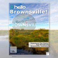 Image for Brownsville