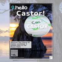 Image for Castor