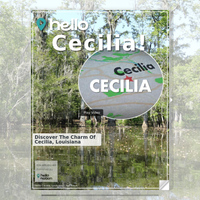 Image for Cecilia