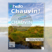 Image for Chauvin