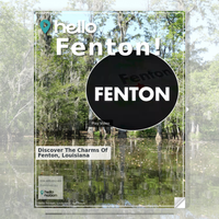 Image for Fenton