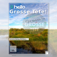 Image for Grosse Tete