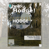 Image for Hodge