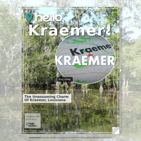 Image for Kraemer