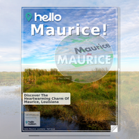 Image for Maurice