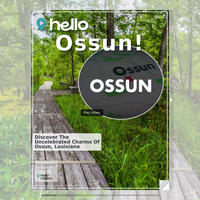 Image for Ossun