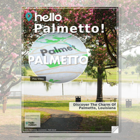 Image for Palmetto