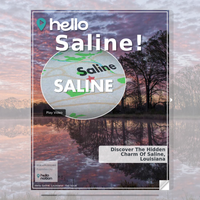 Image for Saline