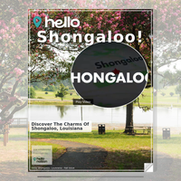 Image for Shongaloo