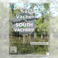 Image for South Vacherie