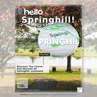 Image for Springhill