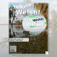 Image for Welsh