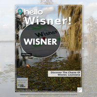 Image for Wisner