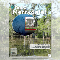 Image for Merrydale